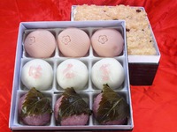 春のお祝セット(黒二段小）