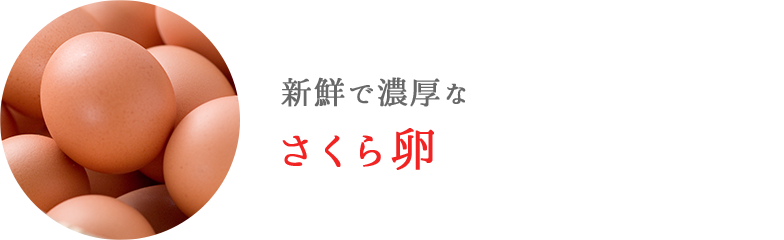 卵、新鮮で濃厚なさくら卵