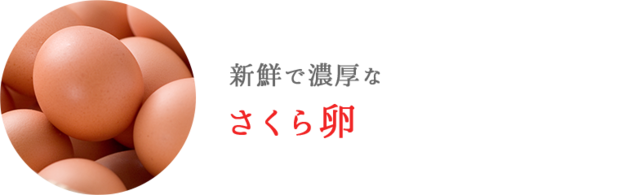 卵、新鮮で濃厚なさくら卵