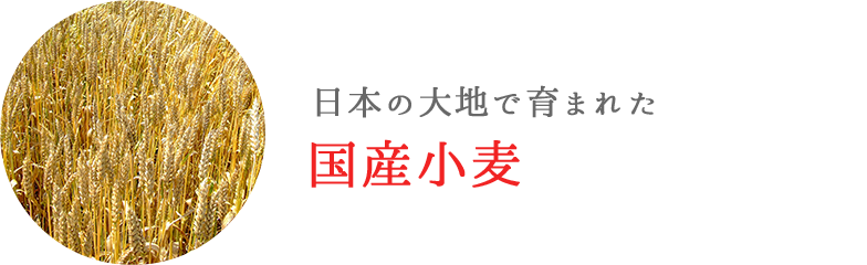 粉、日本の大地で育まれた国産小麦