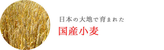 粉、日本の大地で育まれた国産小麦